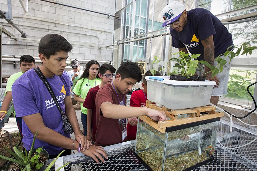 学生们看着一个用水培法种植食物的系统.