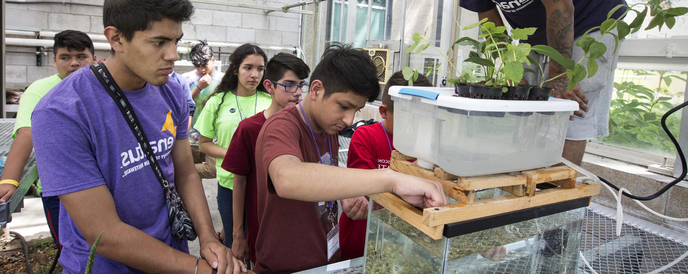 Students look at a system that is growing food using hydroponics.