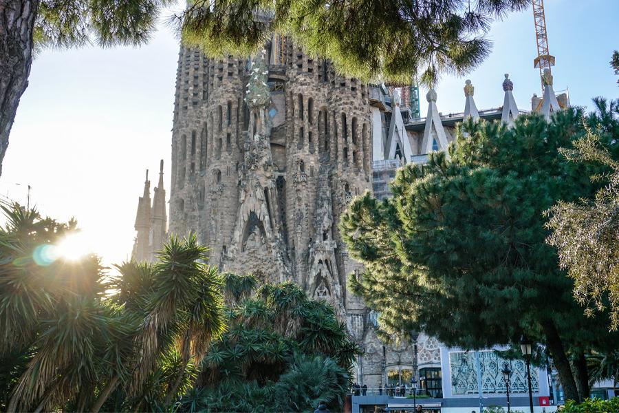 Sagrada Familia surrounded by trees.
