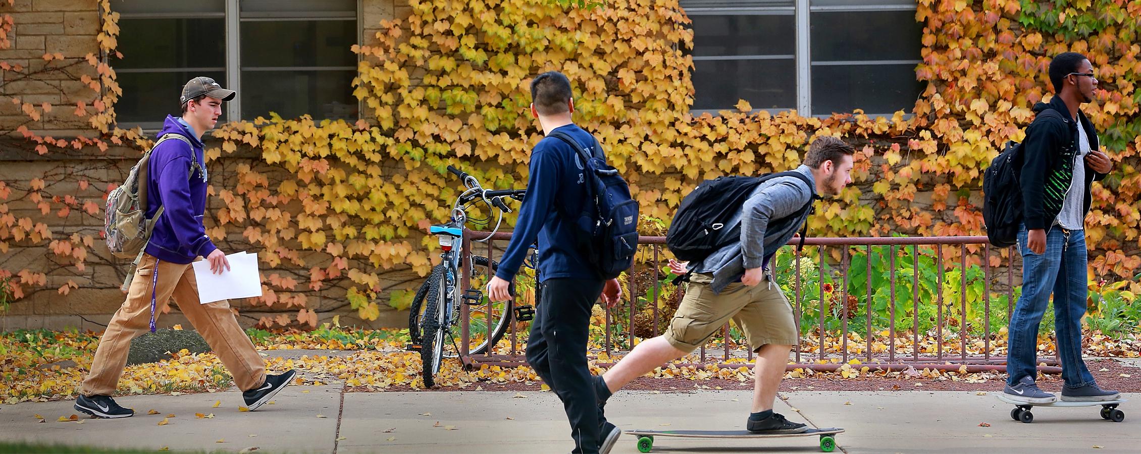 学生们在人行道上滑滑板，背景是黄色的树叶和落叶.