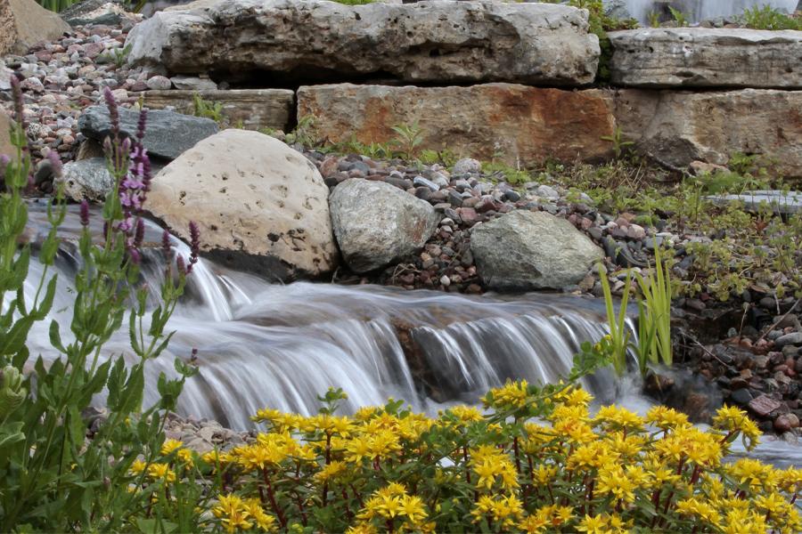 Water flows over rocks with flowers in the foreground.