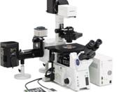 Olympus IX2-UCB Spinning Disc Confocal Microscope